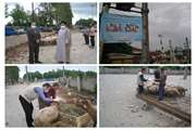 اقدامات دامپزشکی صومعه سرا در روز عید سعید قربان